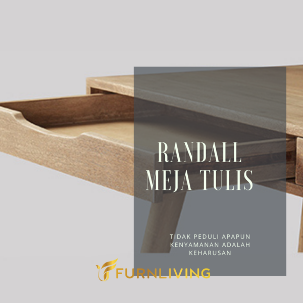 Randal Meja Belajar - Gambar 2