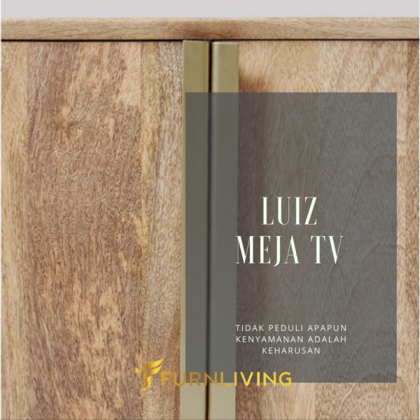 Luiz Meja TV - Gambar 2